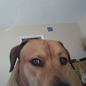 Meet your Posher, Phillip